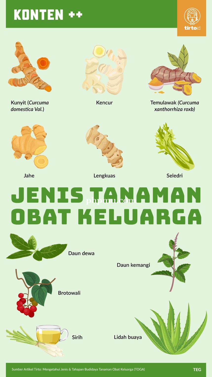 MENGENAL TANAMAN OBAT KELUARGA
